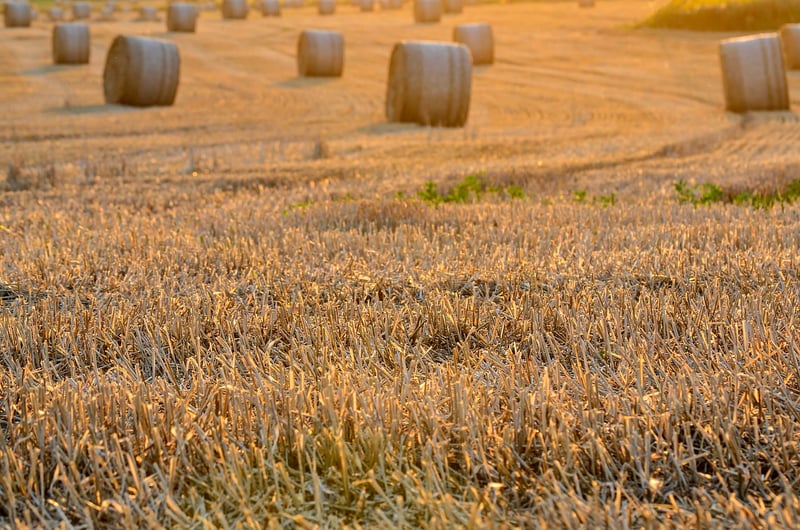 Harvest Swaps