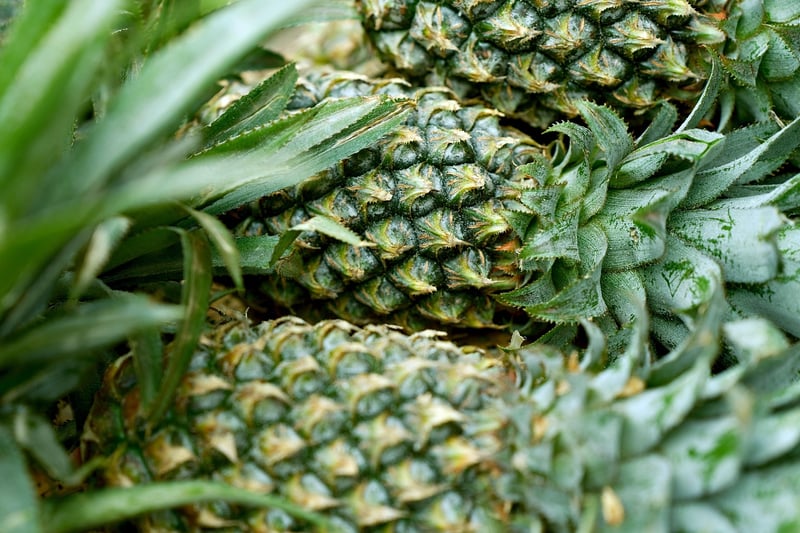 Herb Spiral